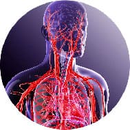 Necessary for proper function